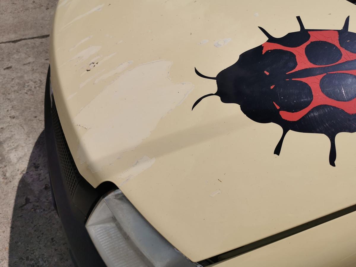 Fiat Panda 169 Motorhaube Haube Klappe Bonnet vorn Lackierung erforderlich