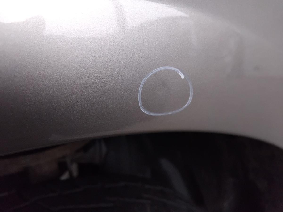 Renault Megane 3 original Kotfl&uuml;gel vorn links TEHNK Beige Cendre Nacre BJ2008