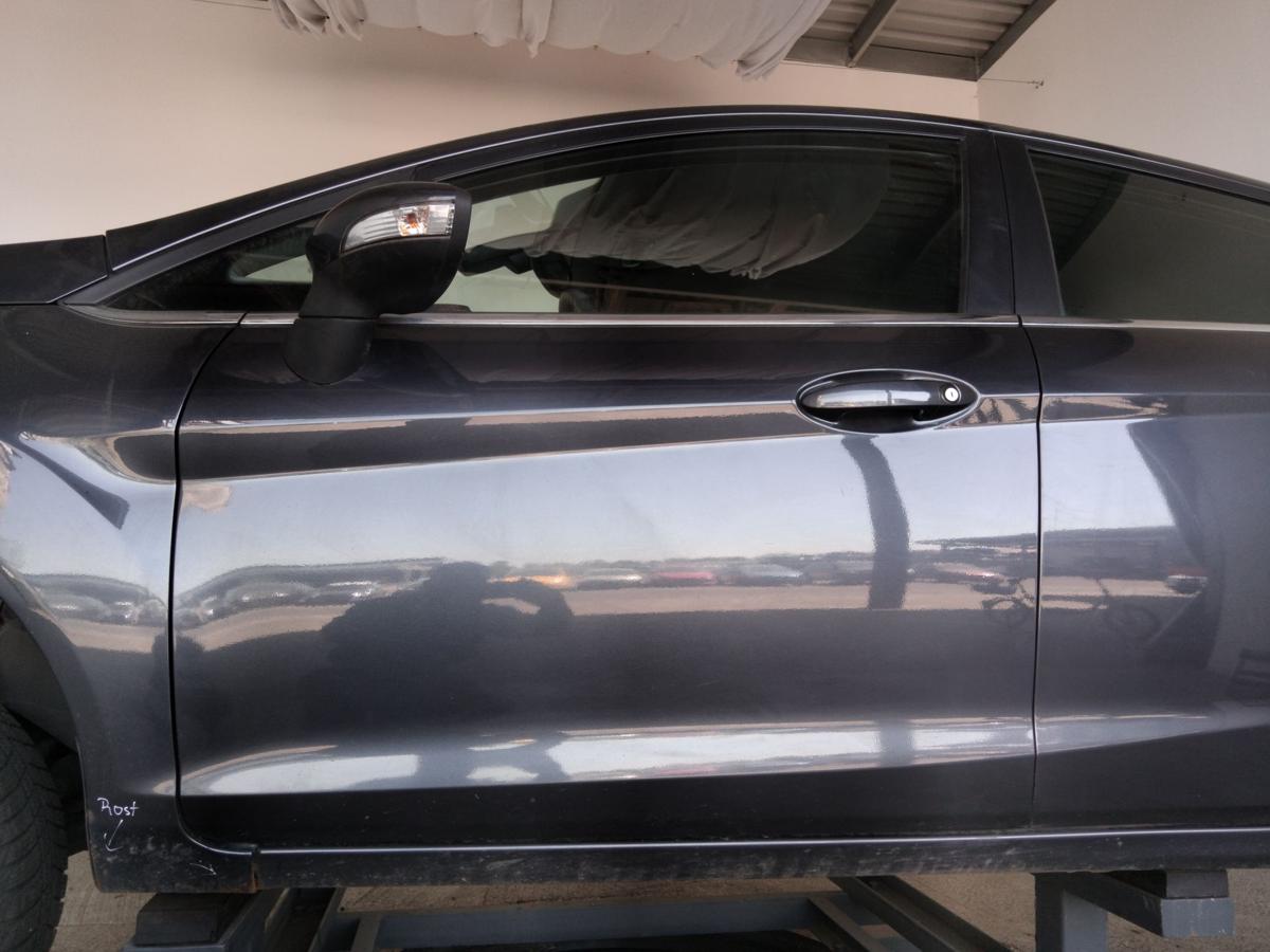 Ford Fiesta JA8 Tür vorn links Fahrertür 5-Türer Royalgraumetallic BJ2009