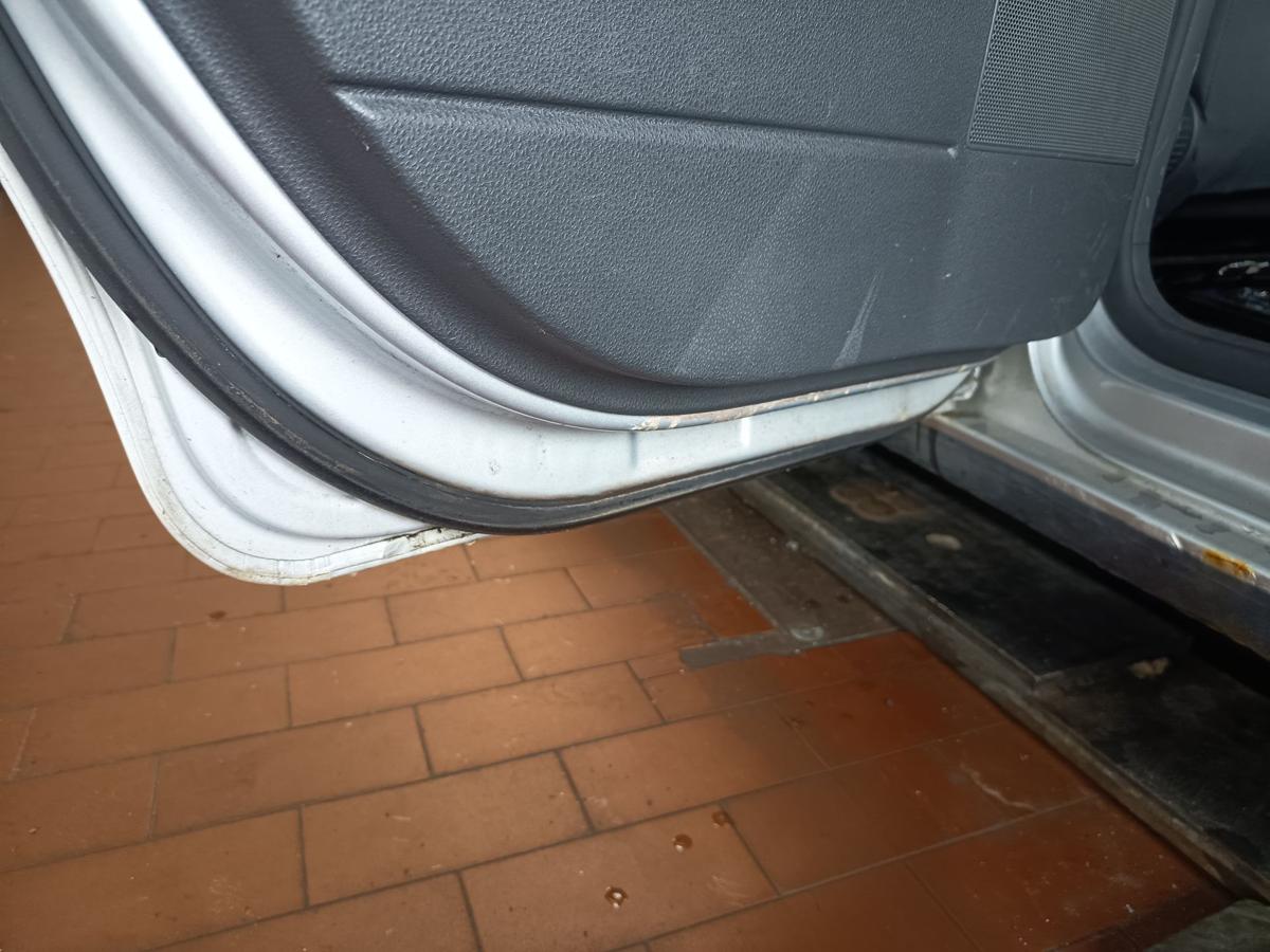 VW Polo 9N3 original T&uuml;r hinten links LA7W Reflexsilber Baujahr 2009