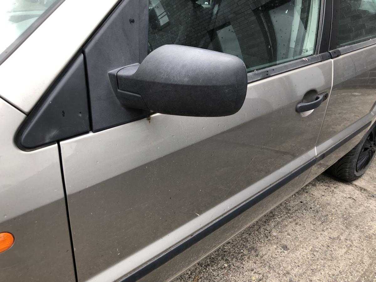 Ford Fusion JU2 Tür vorn links Fahrertür im Rohbau Sahara Metallic