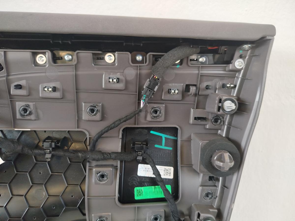 NIO ET7 Elektro Türverkleidung hinten links Fondtür Innenverkleidung Tür OEM