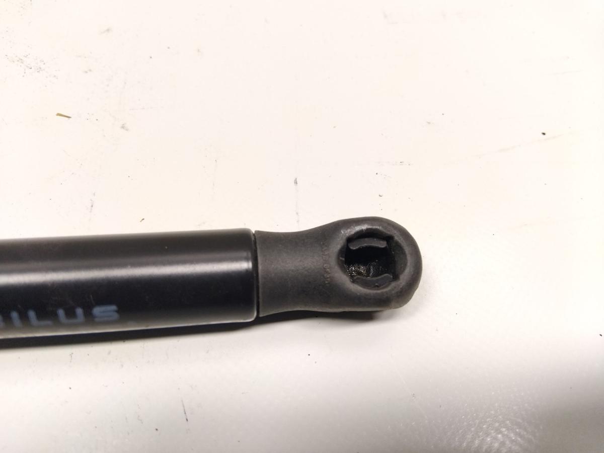 Tesla Model 3 original Satz Gasdruckzylinder Motorhaube 1091472-00-B Bj.2021