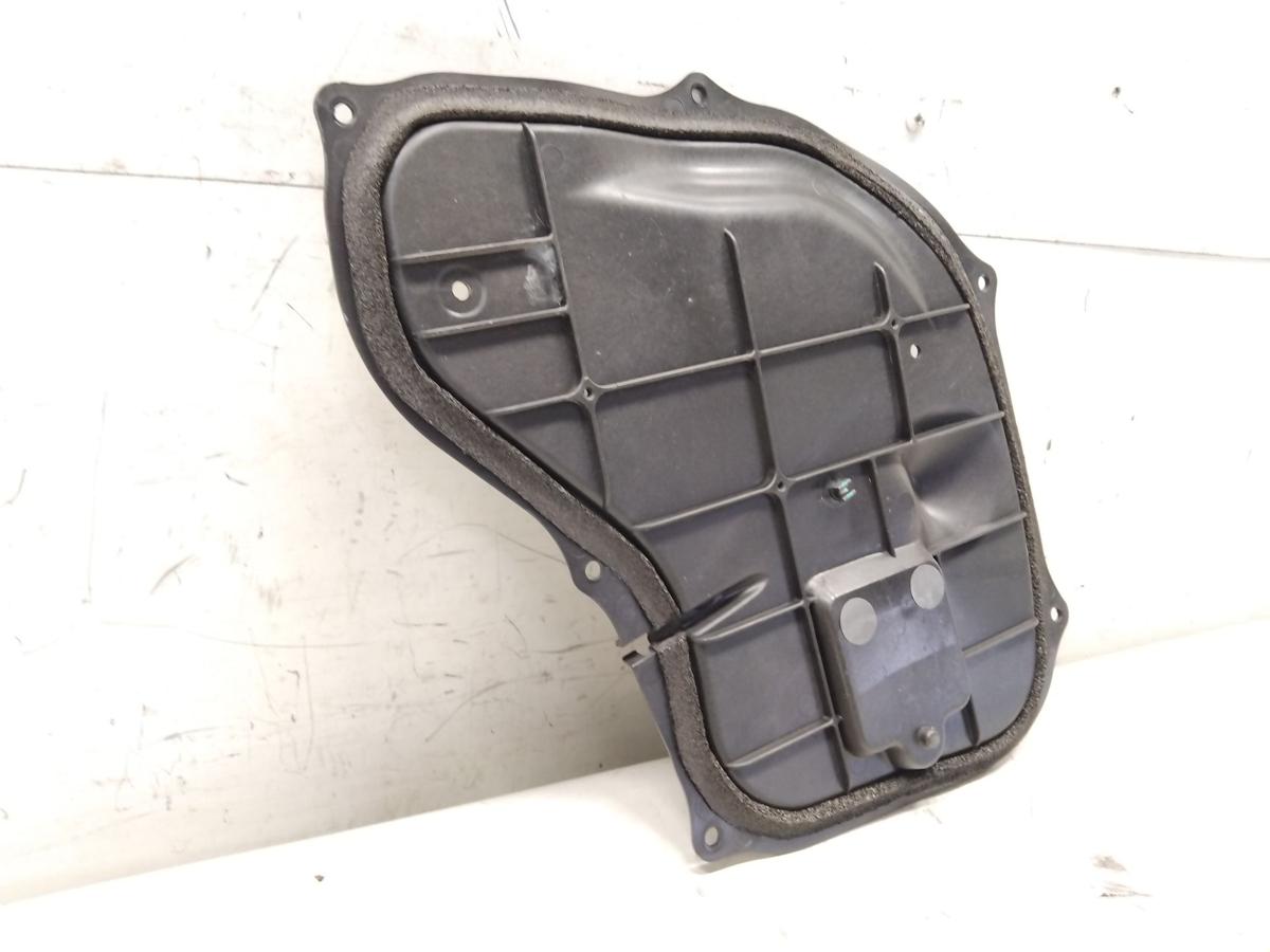 Tesla Model S original Plastikabdeckung T&uuml;r vorn rechts mit T&uuml;rgriffmodul Bj2019