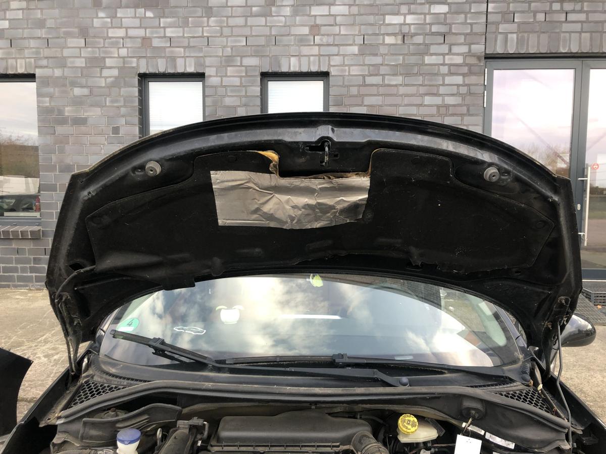 Peugeot 207CC Motorhaube Haube Klappe Motorklappe EXL Schwarz Obsidien Metallic