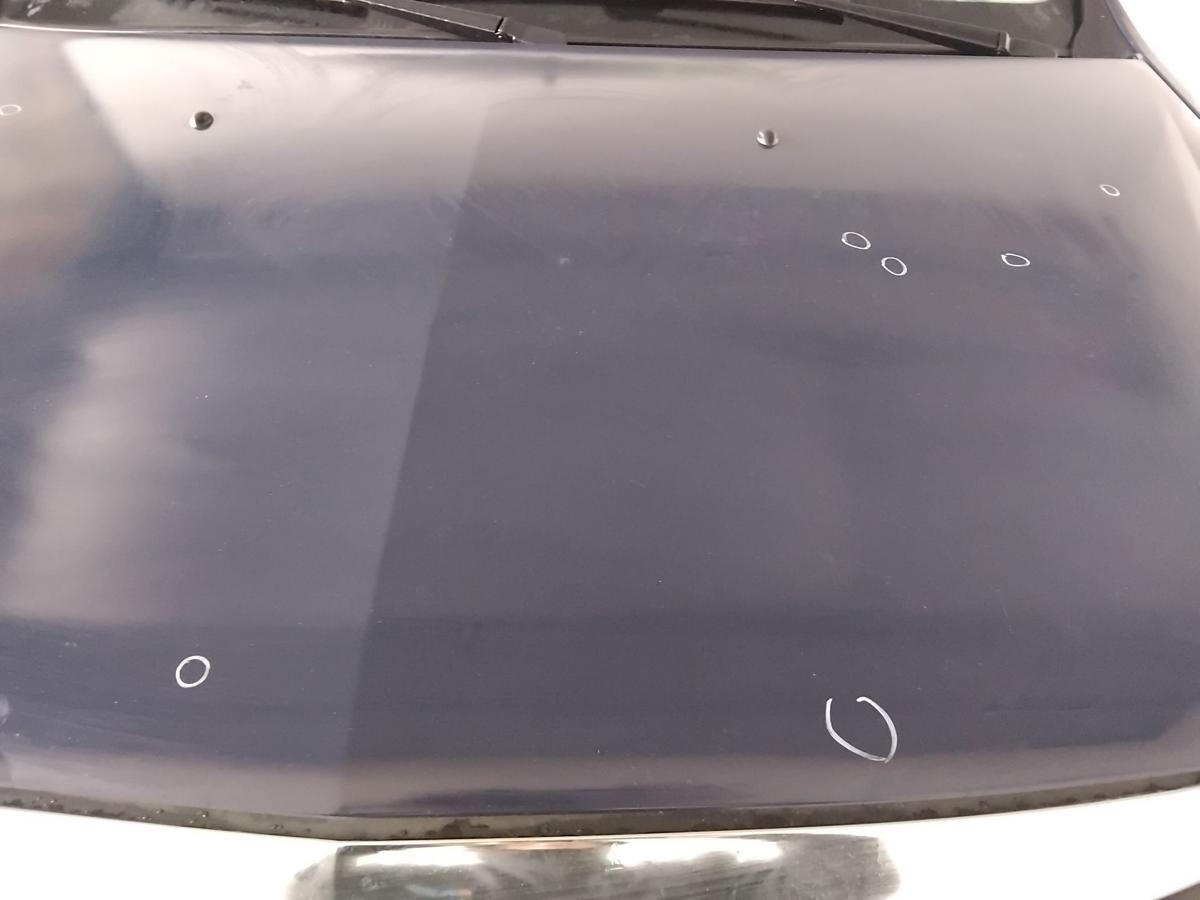 Dacia Logan Kombi original Motorhaube Deckel vorn OVD42 blue navy uni BJ2010