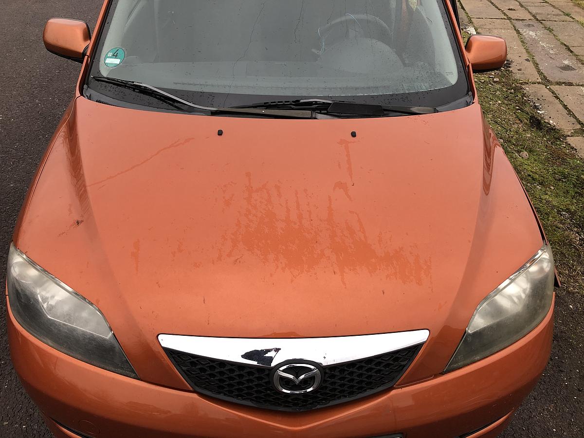 Mazda 2 DY Motorhaube Bonnet Deckel vorn Haube vorn Grill