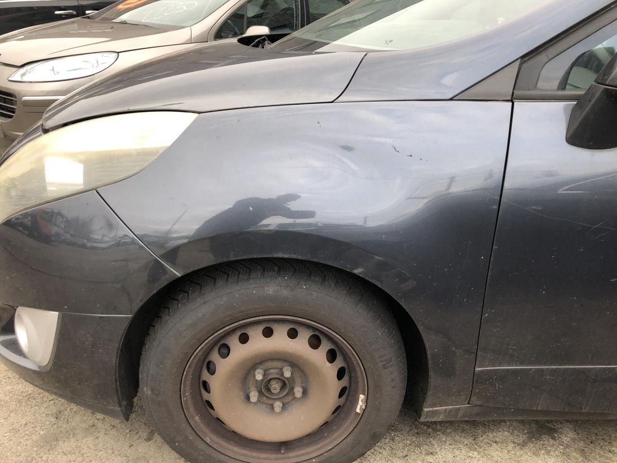 Renault Grand Scenic 3 III JZ Kotfl&uuml;gel links Fender Plastik TEB66