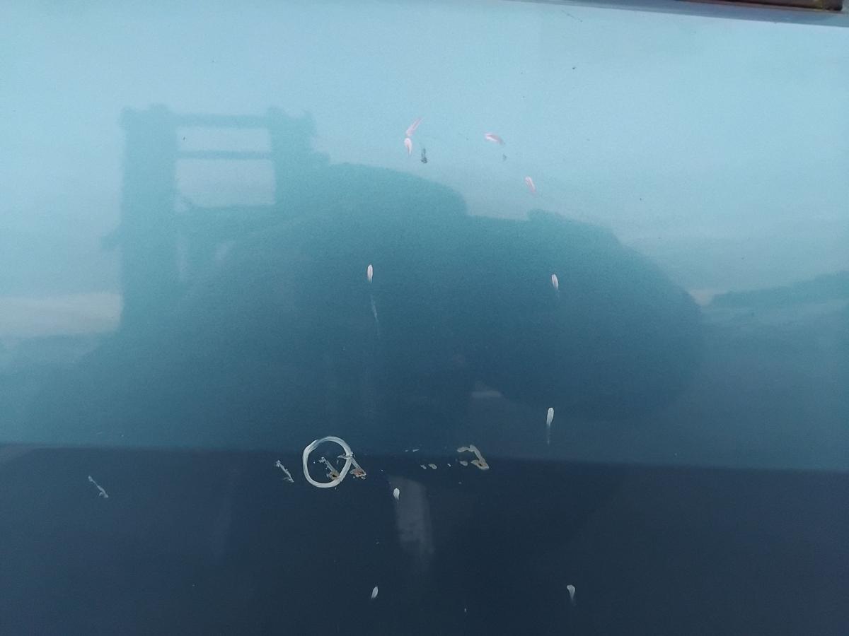 Honda Jazz 2 GG T&uuml;r vorn rechts Beifahrert&uuml;r BG53M Cerulean Blue Metallic BJ2008