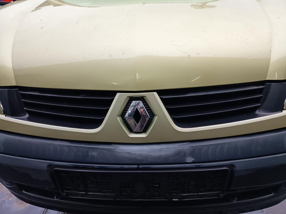Renault Kangoo KC original Grill Frontgrill TED99 Limettengr&uuml;n ab 2005