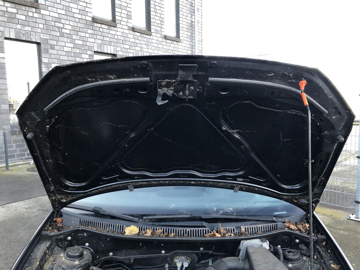 VW Polo 9N3 ab 05 Motorhaube Haube Bonnet Deckel vorne L041 Brillantschwarz