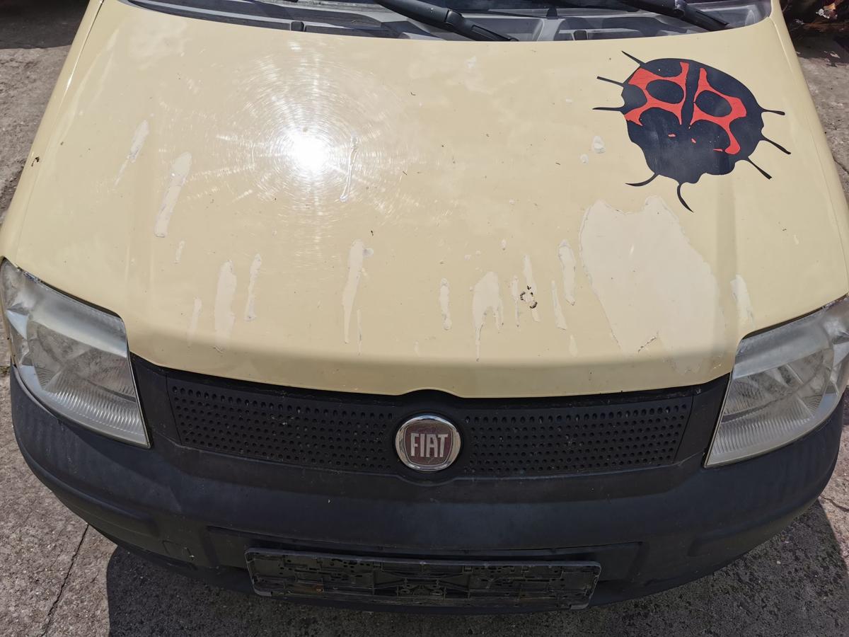 Fiat Panda 169 Motorhaube Haube Klappe Bonnet vorn Lackierung erforderlich