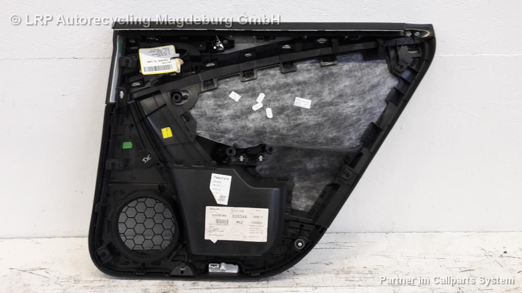 VW Passat 3C Variant Bj.07 Türverkleidung Leder schwarz hinten links