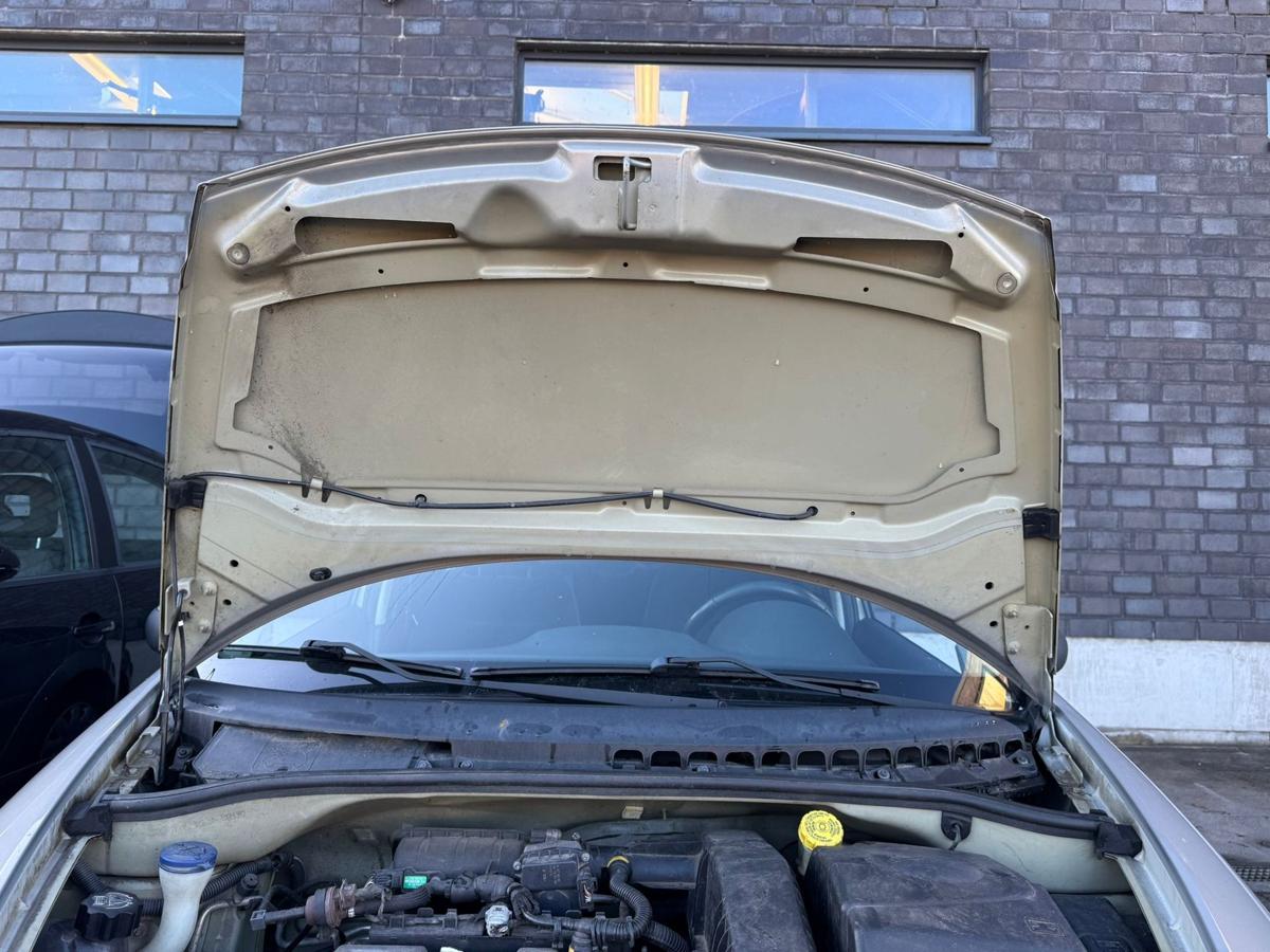 Citroen C3 original Motorhaube KDD Sandbeige Facelift Bj.2006