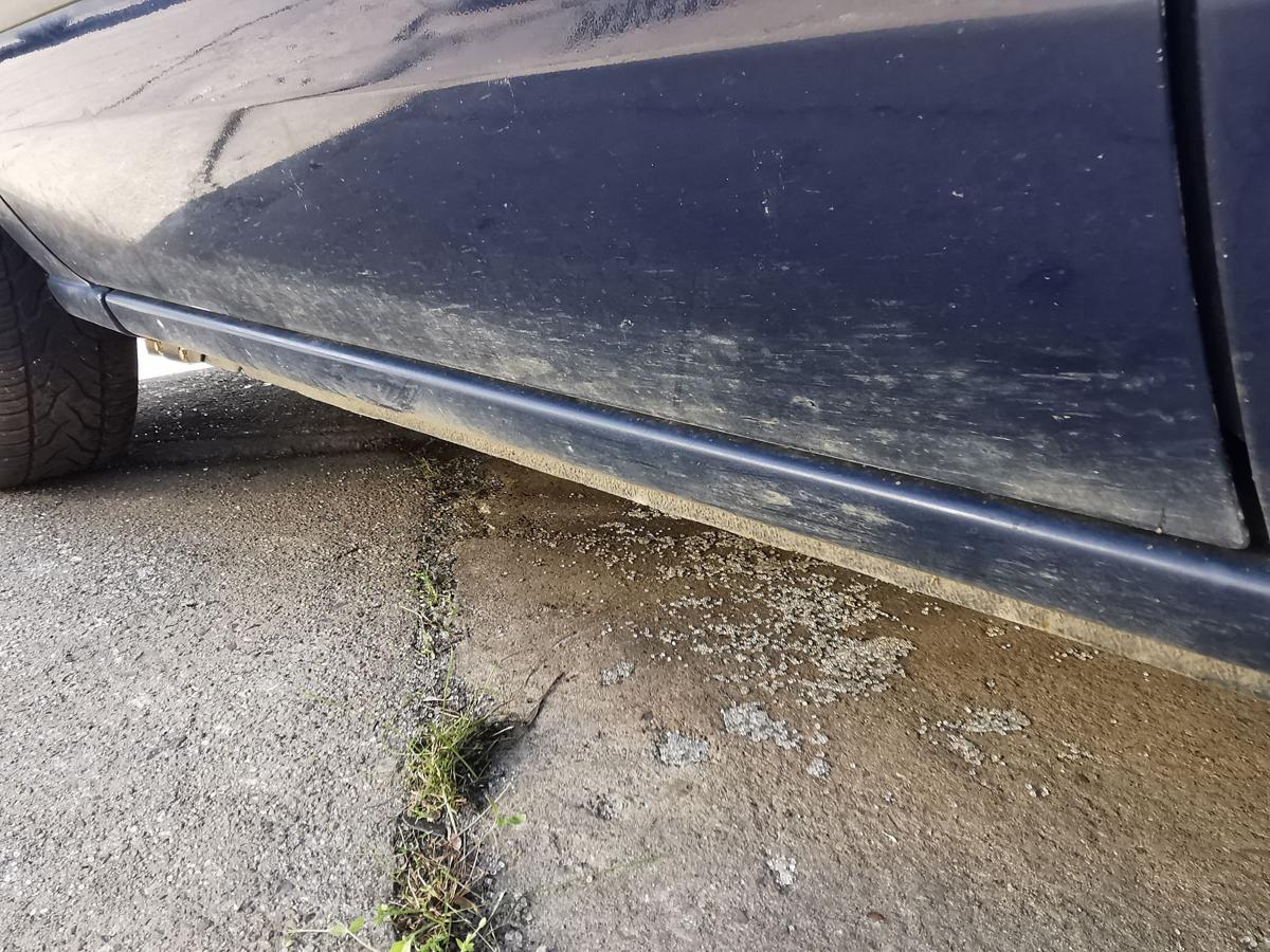 Ford Fusion JU2 Fahrertür Tür Rohbautür Autotür vorn links Blazer Blau 2005-