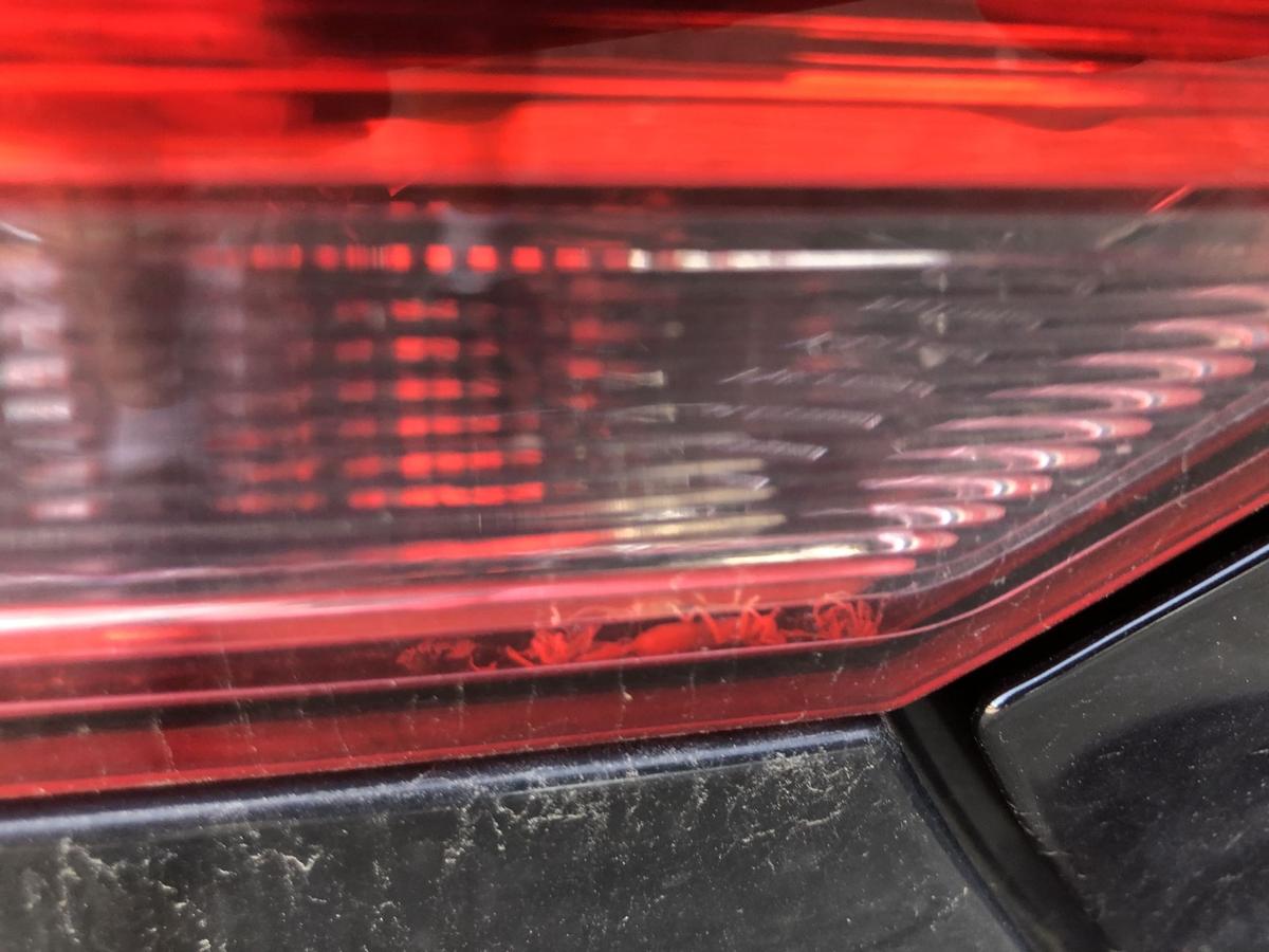 VW Polo 6R Rückleuchte links Rücklicht Heckleuchte Heckleuchte