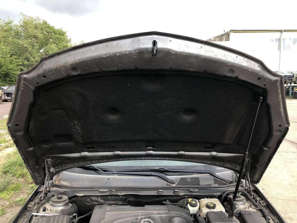 Opel Insignia A 0G-A Motorhaube Haube Klappe Deckel vorn Z177 Karbongraumetallic
