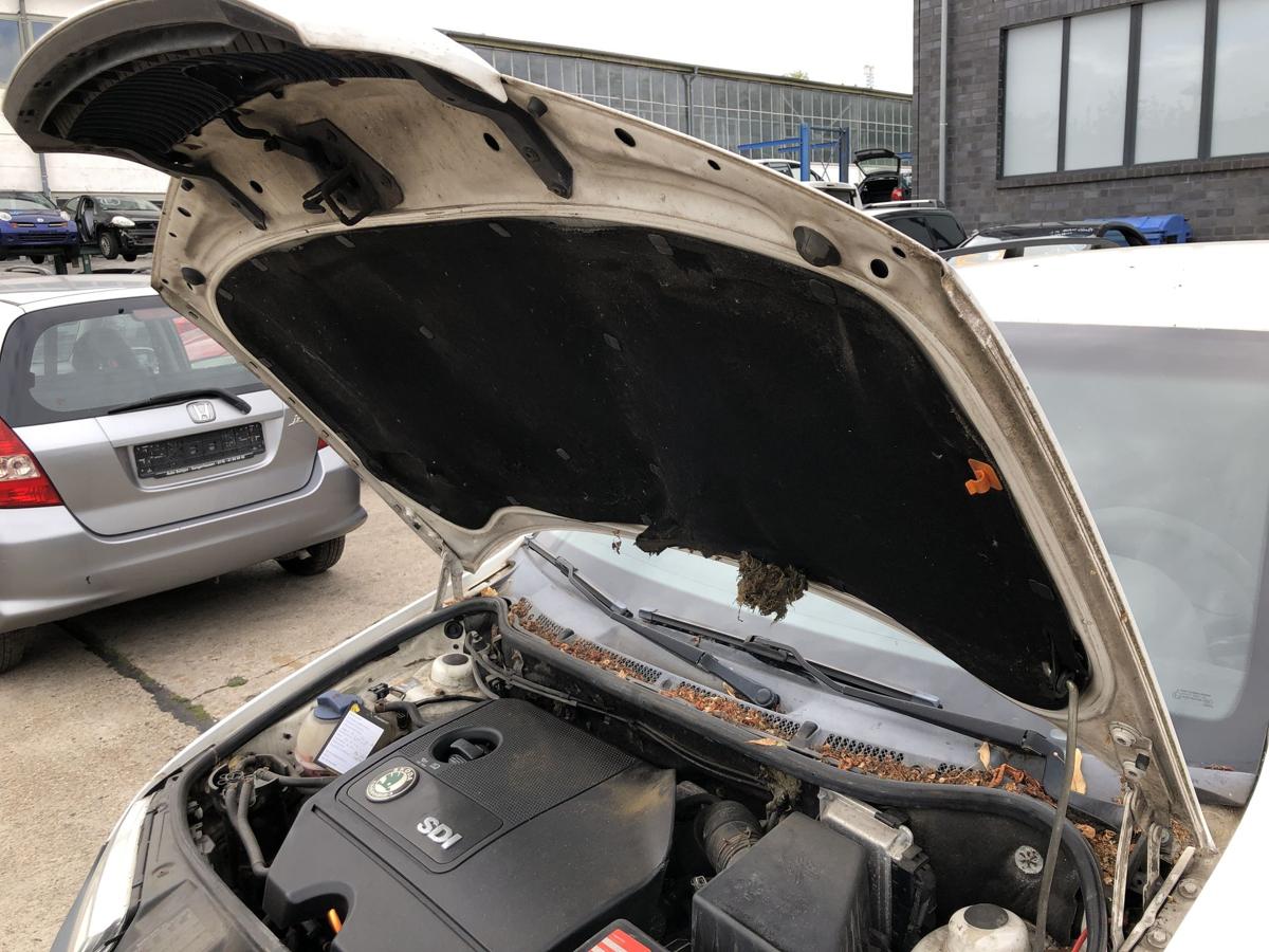 Skoda Fabia 6Y Praktik Motorhaube Haube Klappe Deckel vorn Grill LF9E Candywei&szlig;