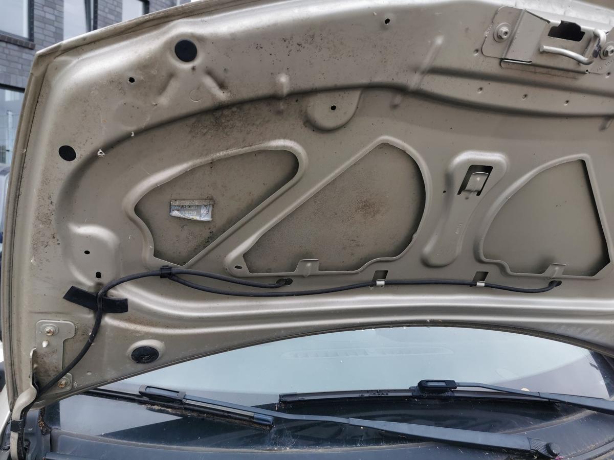 Renault Clio III Motorhaube Haube Klappe Deckel Bonnet vorn TED11 Beige Pepper