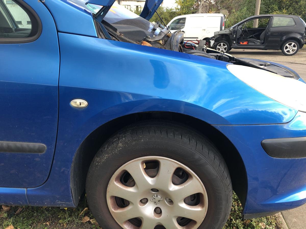 Peugeot 307 3A 3C Kotflügel vorn rechts Fender KMF blau