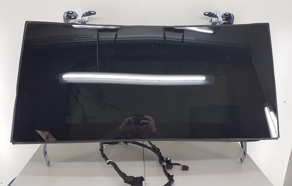 Tesla Model X T&uuml;roberteil T&uuml;r hinten links Bj2022 Falcon Wing Door T&uuml;rscheibe