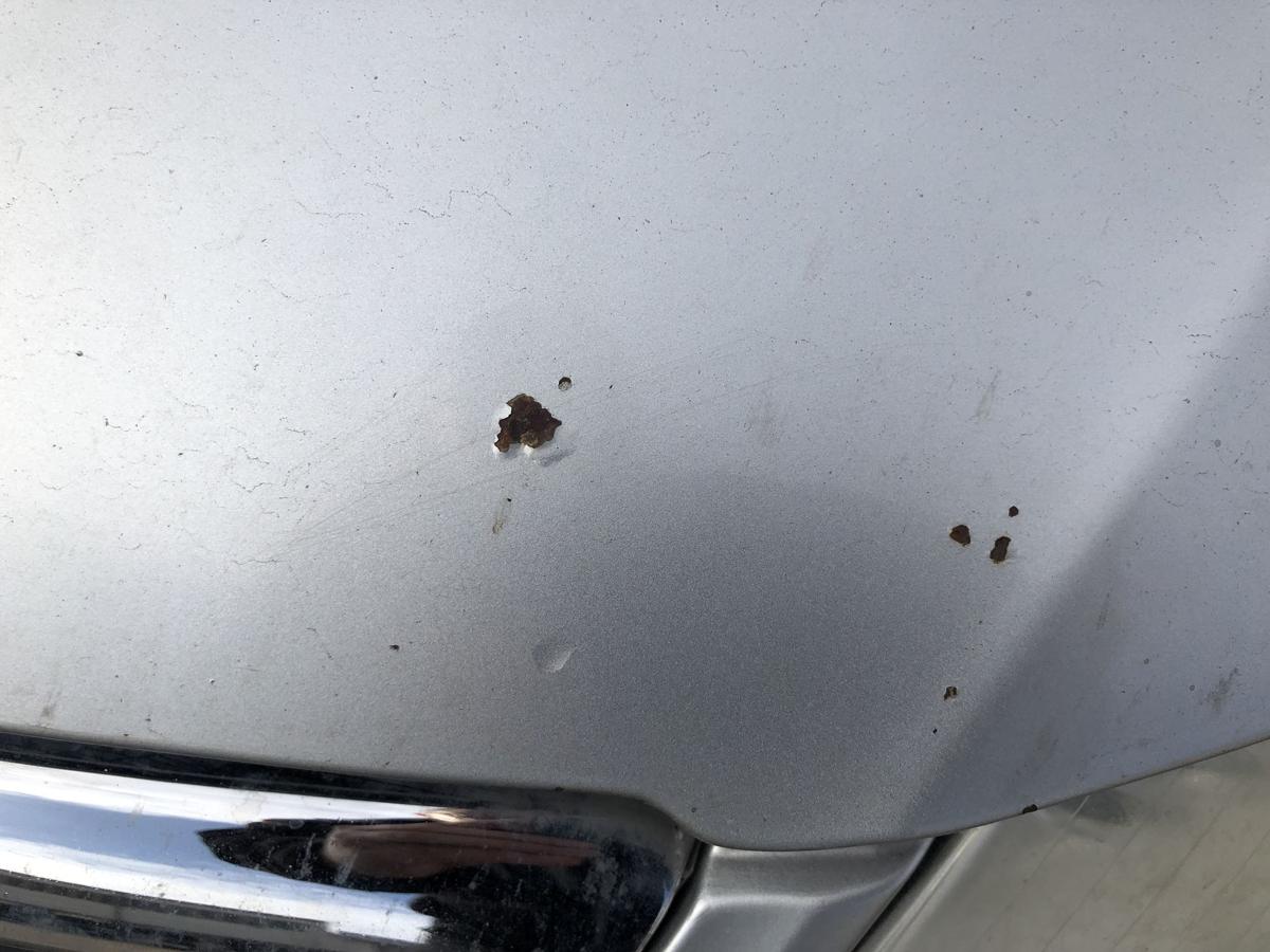 VW Passat 3C B6 Variant Motorhaube Haube Klappe Deckel vorn LA7W Reflexsilber