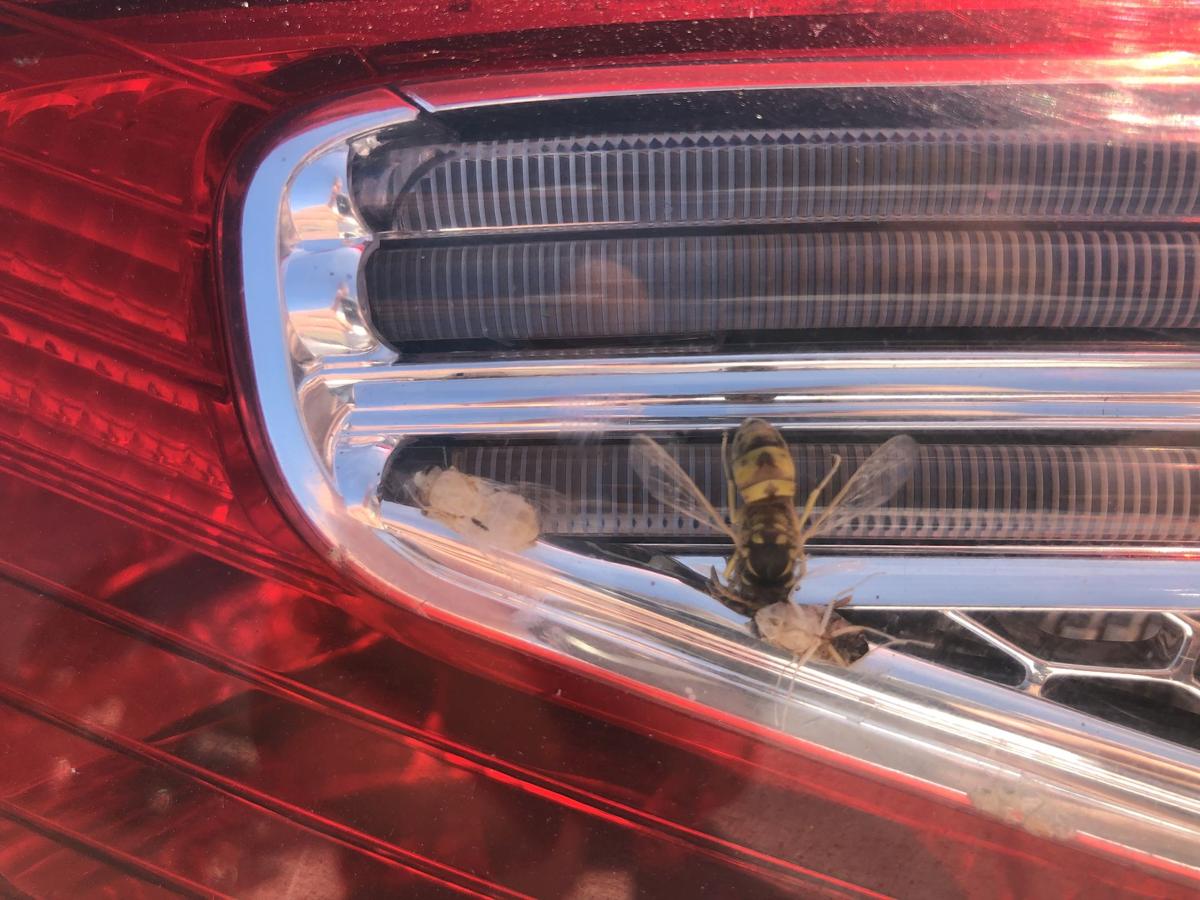 Ford Mondeo MK4 BA7 Turnier R&uuml;ckleuchte innen rechts R&uuml;cklicht Facelift