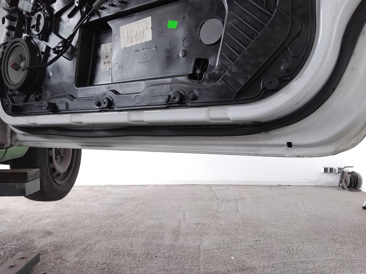 Ford Fiesta JA8 T&uuml;r vorn rechts Beifahrert&uuml;r 3t&uuml;rig frostwei&szlig;-gr&uuml;n foliert BJ16