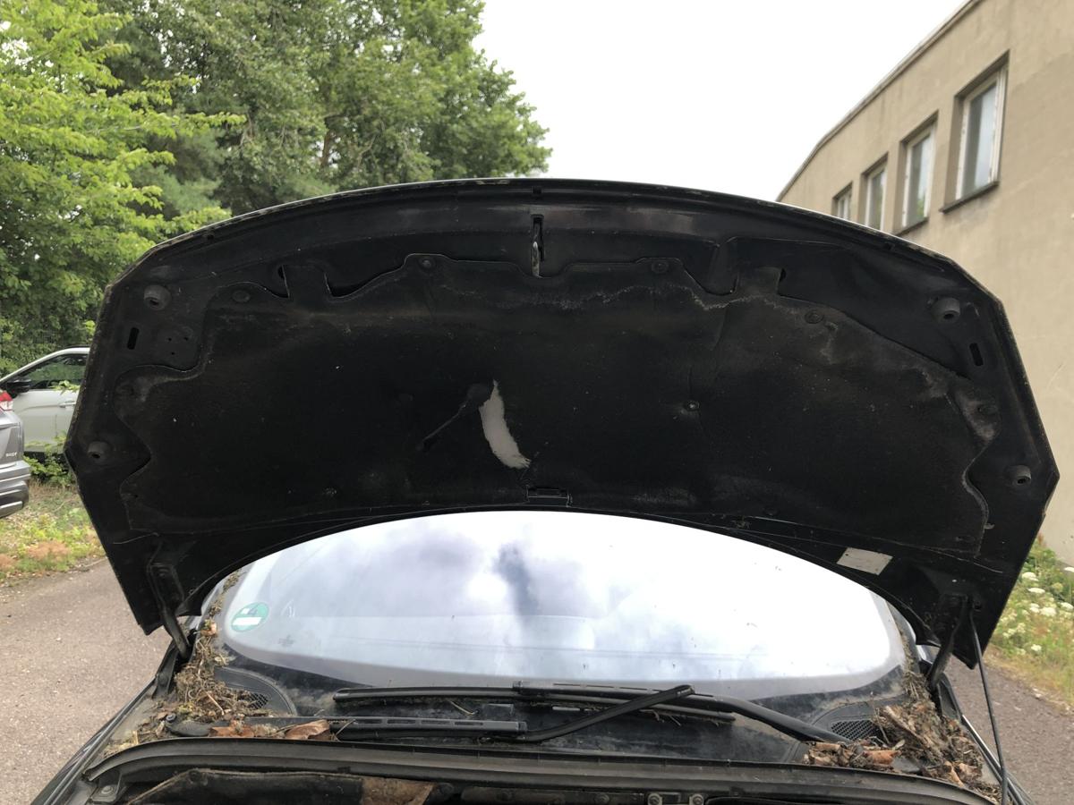 Peugeot 307 SW 3E 3H Motorhaube Haube Klappe Deckel EXL Noir Obsidien Nacre