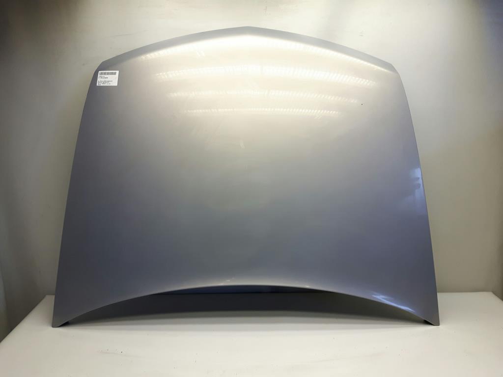 Renault Vel Satis Motorhaube silbergraumetallic BJ2002