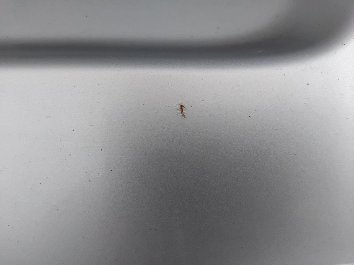 Skoda Fabia 2 5J Heckklappe LA7W reflexsilber 5t&uuml;rig Flie&szlig;heck mit Scheibe BJ08