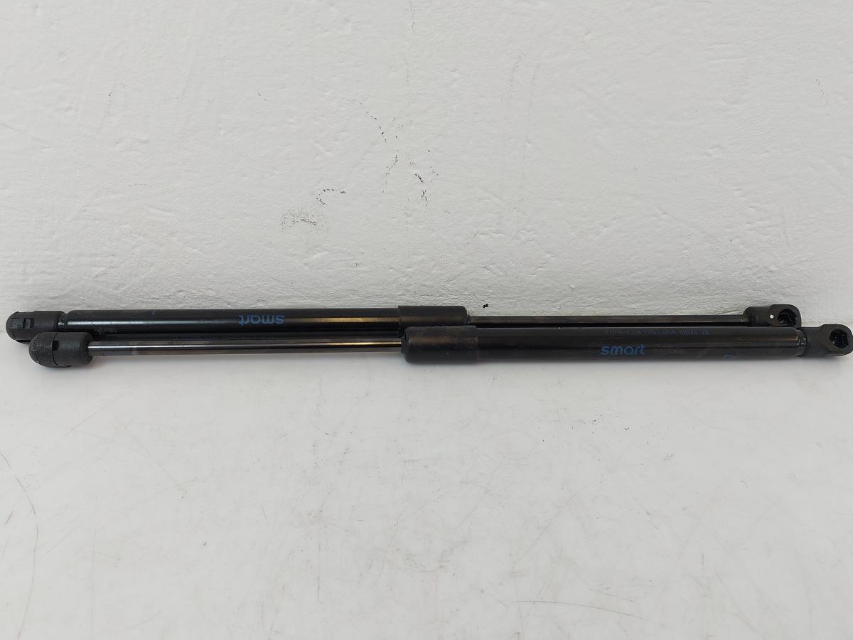 Smart #1 HX11 Pulse Satz Gasdruckdämpfer Motorhaube Dämpfer Haube OEM