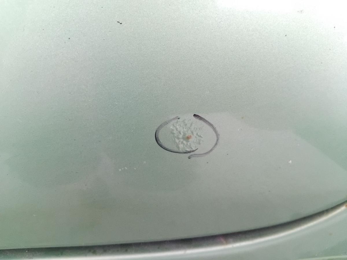 Opel Corsa B Tür vorn links Fahrertür 49L kiwigrünmetallic 3-türig BJ2000
