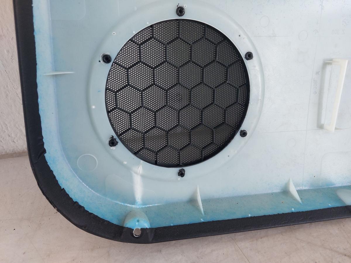 VW Golf 4 IV 1J T&uuml;rverkleidung hinten links Fondt&uuml;r f&uuml;r EFH 5-t&uuml;rer NICHT Kombi