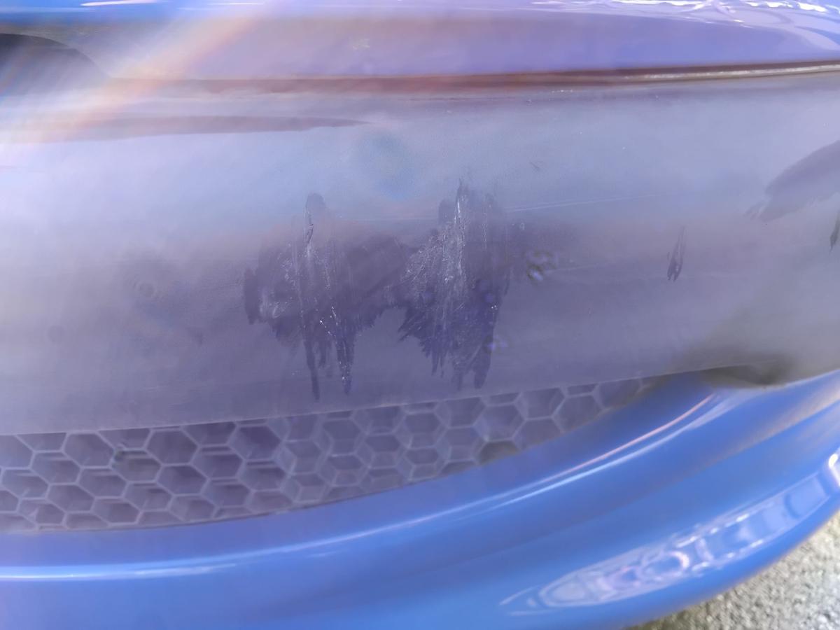 Peugeot 206 Facelift orig Sto&szlig;stange Sto&szlig;f&auml;nger vorn EGJ Blau Santorin BJ2005