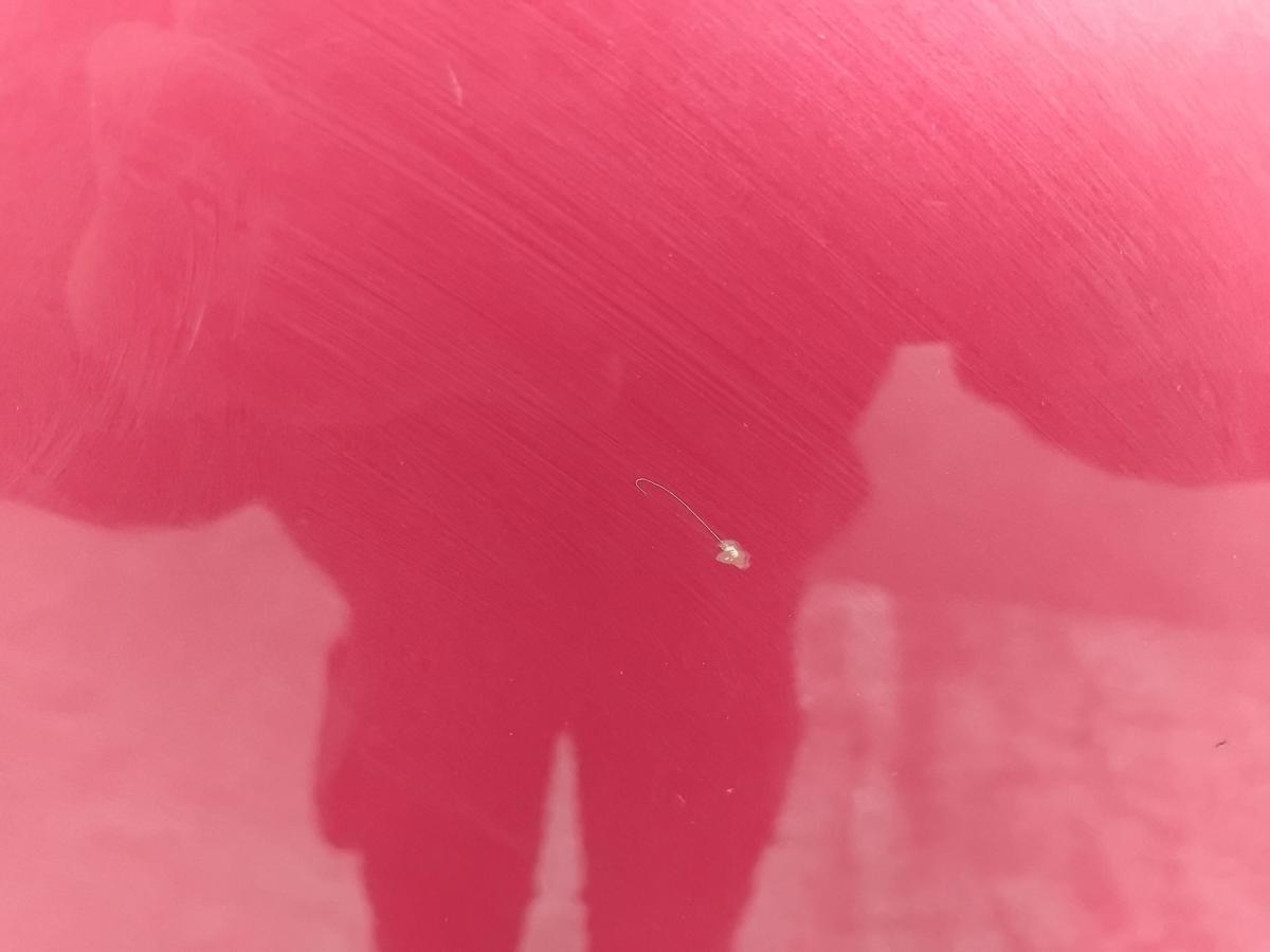 Citroen Berlingo 2 B9 T&uuml;r vorn links Fahrert&uuml;r EKQ luziferrot BJ2010