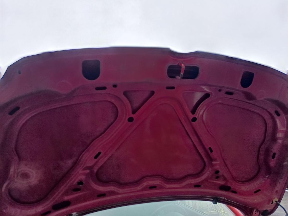 VW Fox original Motorhaube Deckel vorn Front Y3D Tornadorot Bj 2007