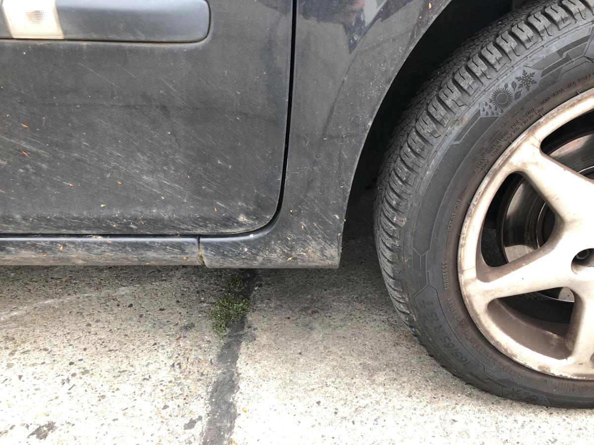 Renault Clio 3 III Grandtour Kotf&uuml;gel vorn rechts Beifahrer NV676 Noir Nacre