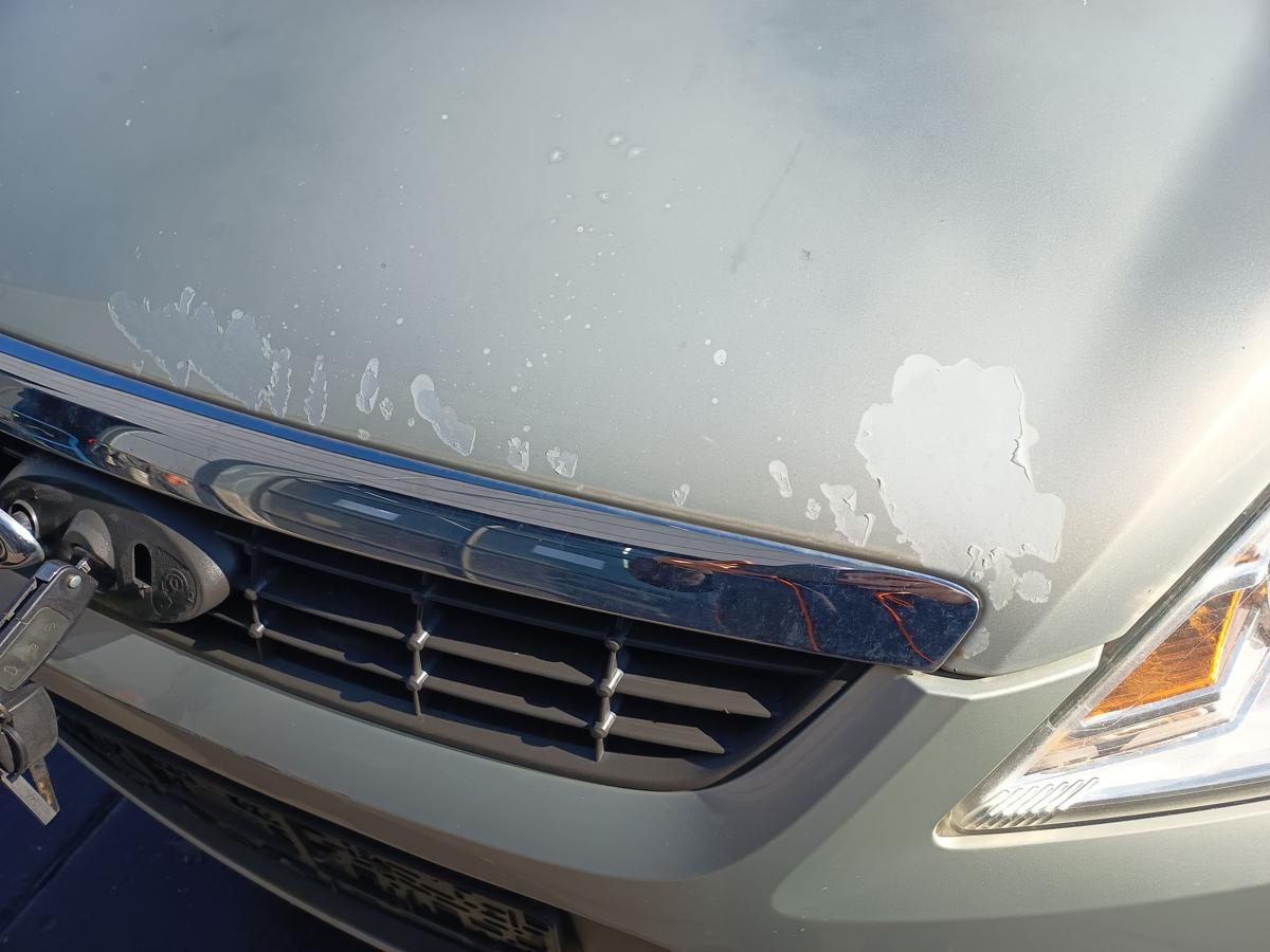 Ford Focus II original Motorhaube Klappe Deckel vorn Front Chill met Bj 2009