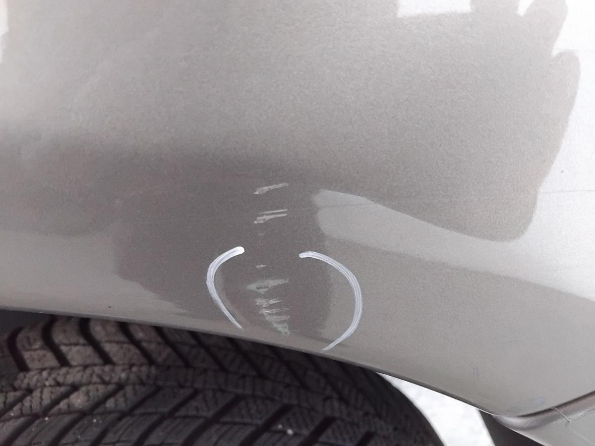 Citroen Xsara Picasso original Kotfl&uuml;gel vorn rechts BJ2009 KEB Nocciolametallic