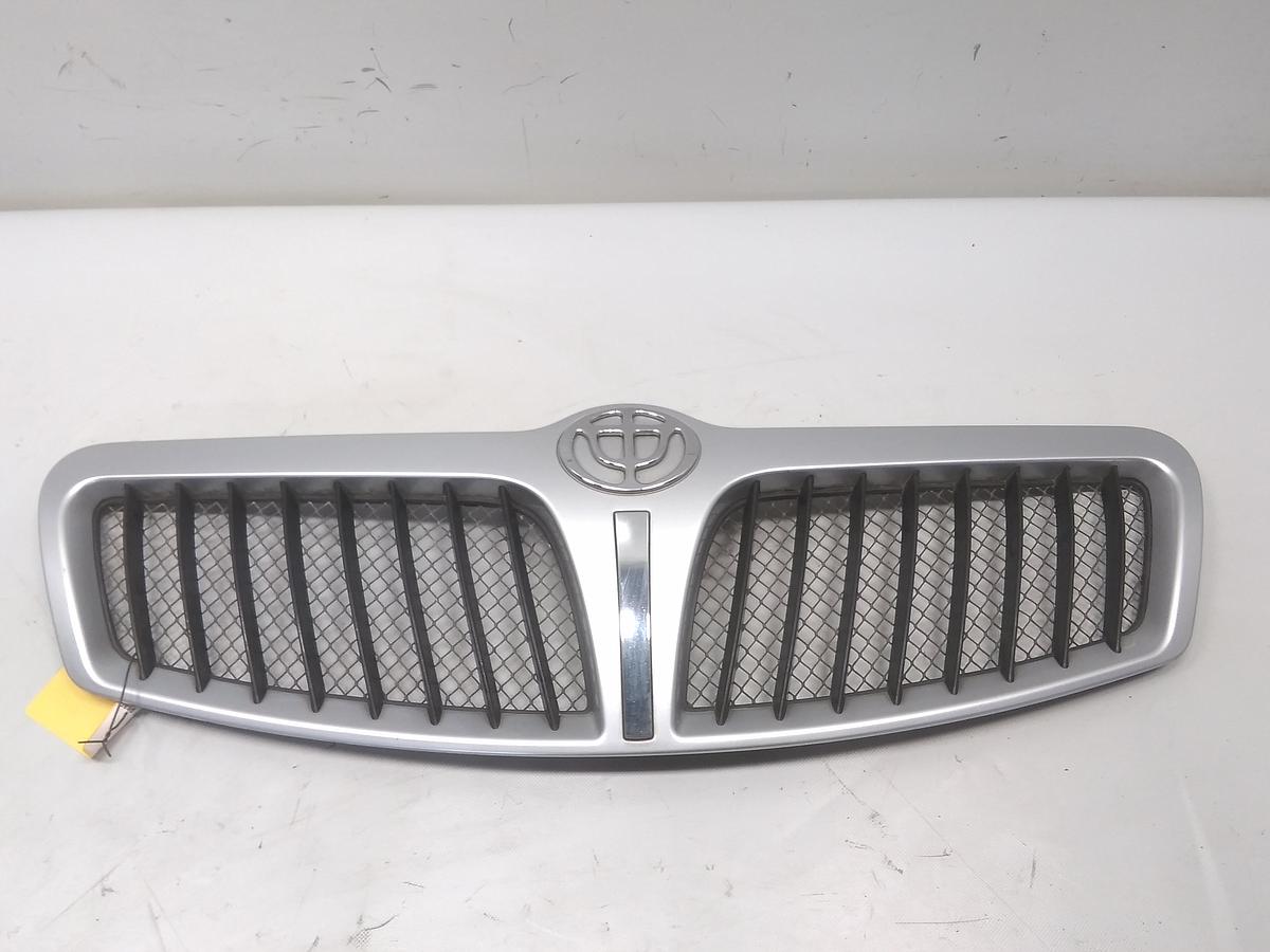 Brilliance BS4 original Kühlergrill silber FE95-588A fine silver Bj.2010