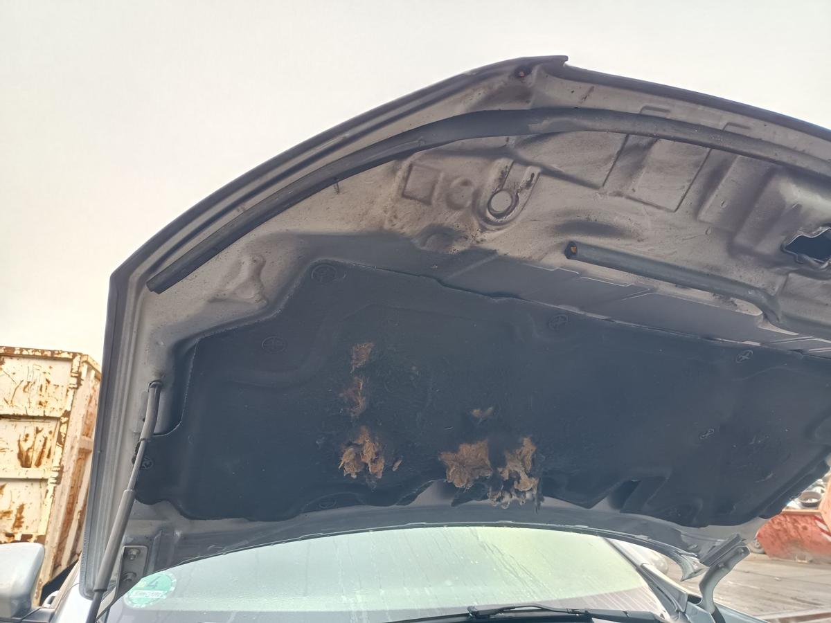 Nissan Qashqai J10 original Motorhaube Facelift KAQ Silber Bj 2010