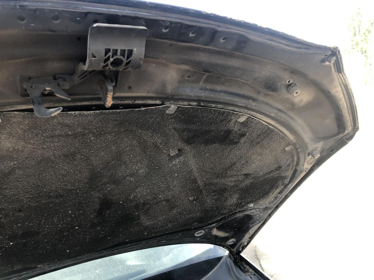 Audi A3 8P bis 2005 Motorhaube Haube Klappe Deckel vorn LZ9W Ebonyschwarz