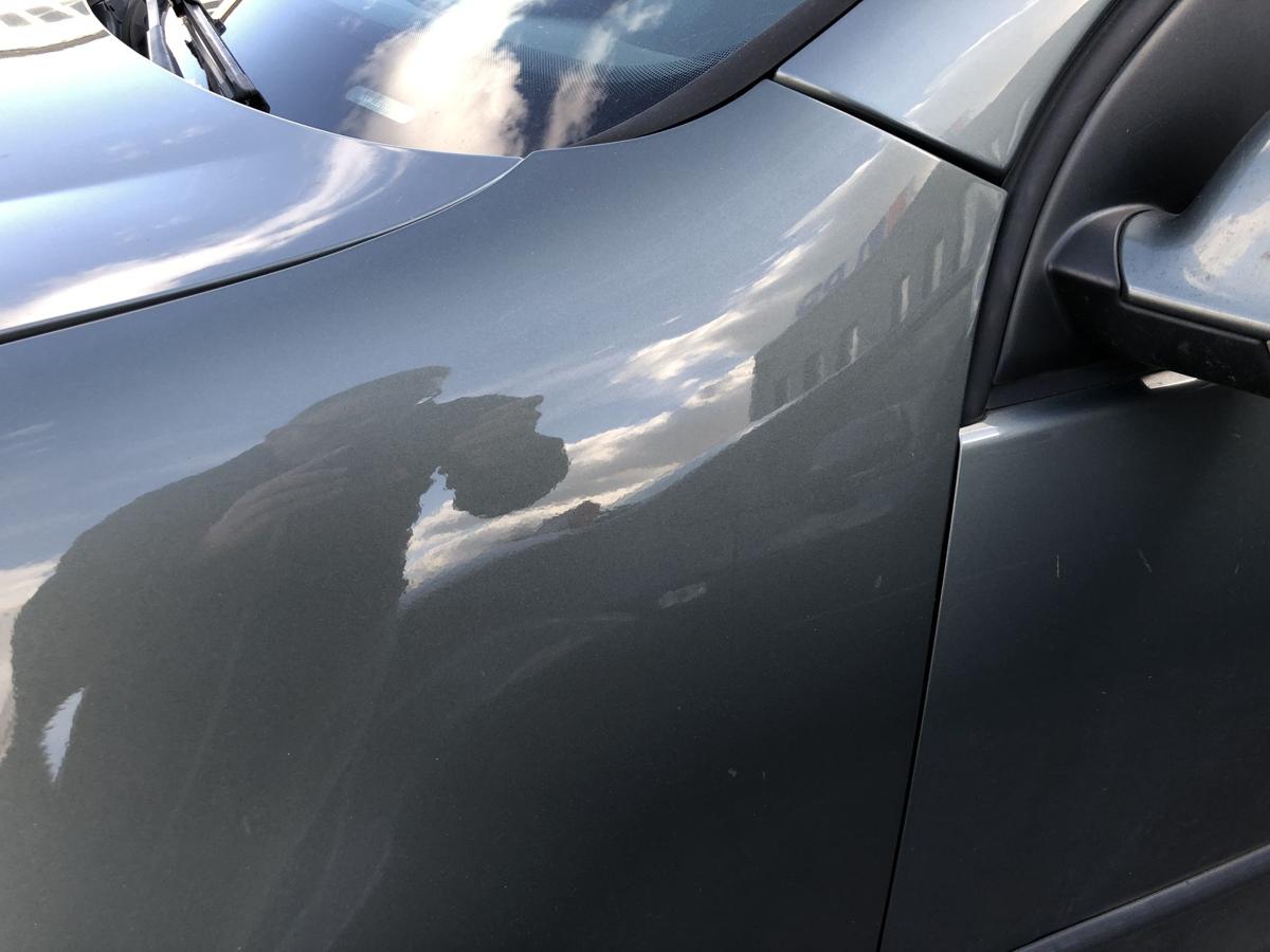 VW Golf 5 V 1K Kotfl&uuml;gel vorn links Fahrerseite LA6Q Sagegreen kein OE