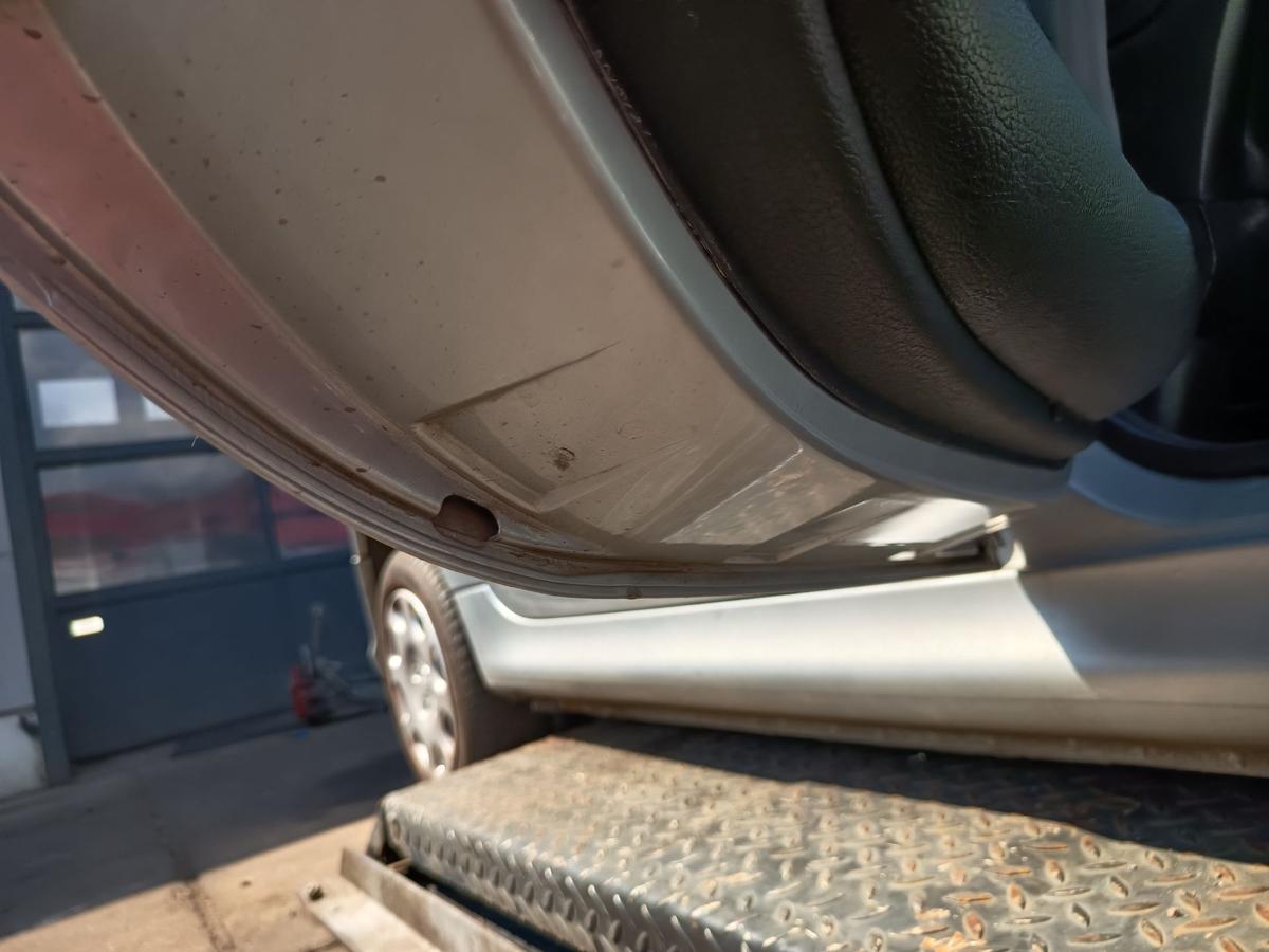 Peugeot 206 orig Tür hinten links 5trg EZR Silber Bj 2005