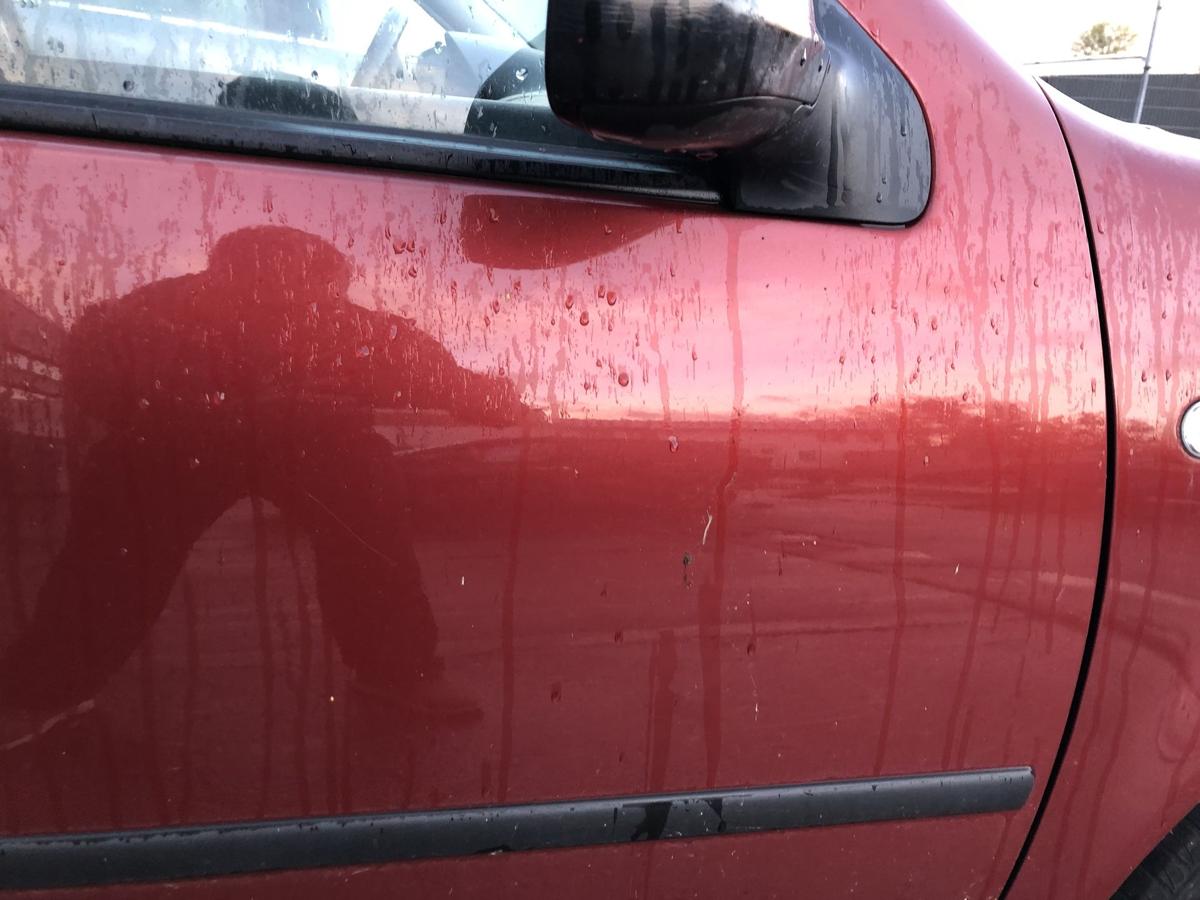 VW Golf 4 Bora Variant 1J IV Tür vorn rechts Beifahrertür LC3K Canyonrot