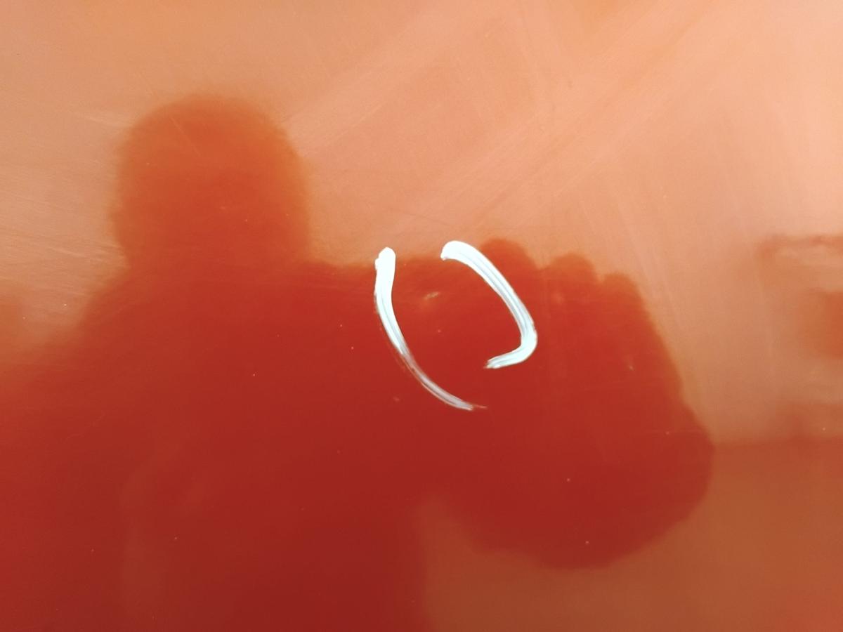 Nissan Tiida C11 T&uuml;r vorn rechts Beifahrert&uuml;r NAC New Red 5-t&uuml;rig BJ2009