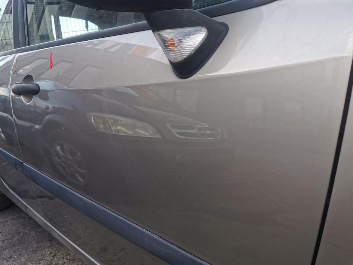 Renault Modus Beifahrert&uuml;r T&uuml;r Autot&uuml;r Rohbaut&uuml;r vorn rechts TEHNK Atacama Beige