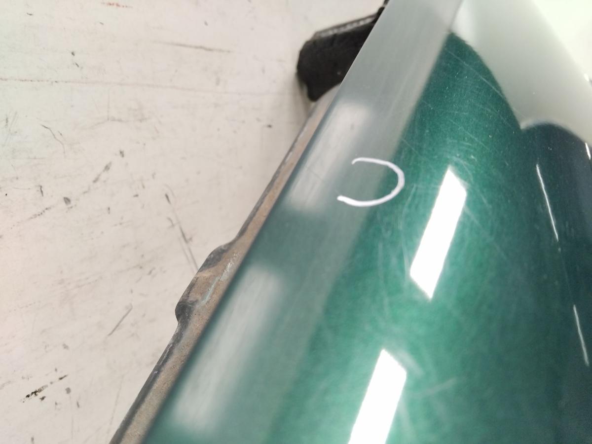 VW Golf 4 1J original Kotfl&uuml;gel vorn links LC6M Brightgreen BJ2003