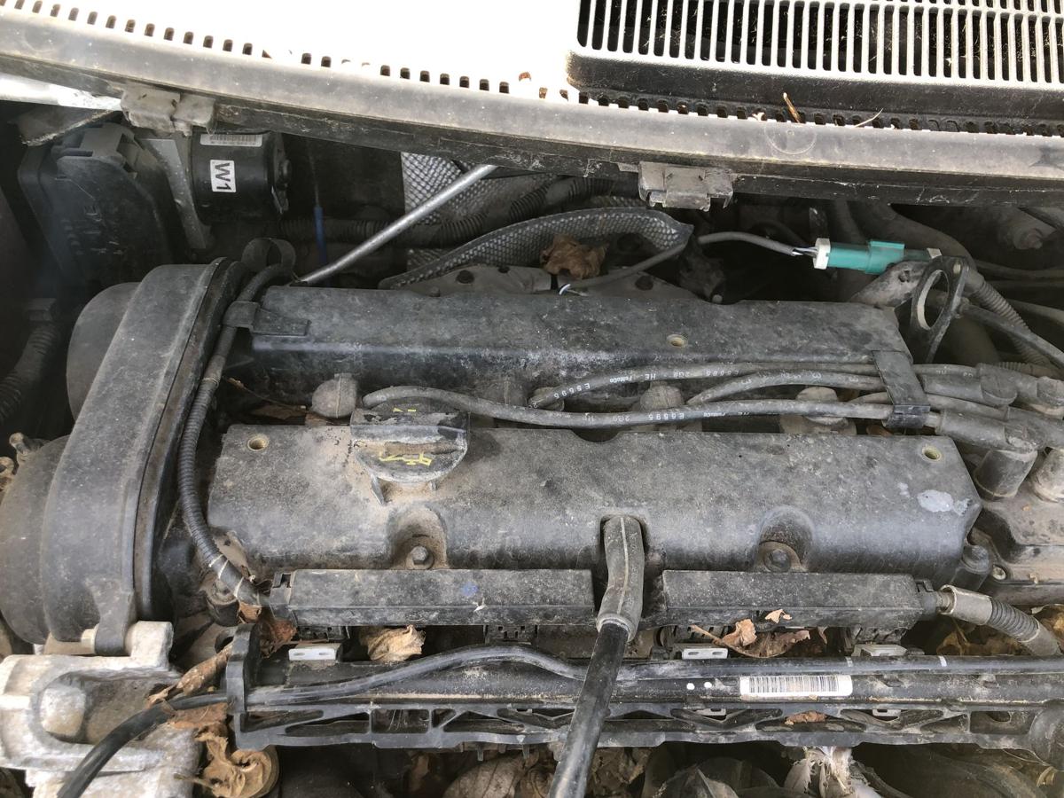 Ford Fiesta JA8 Motor Engine 1.25 44kw STJA nur 40tkm Benzinmotor